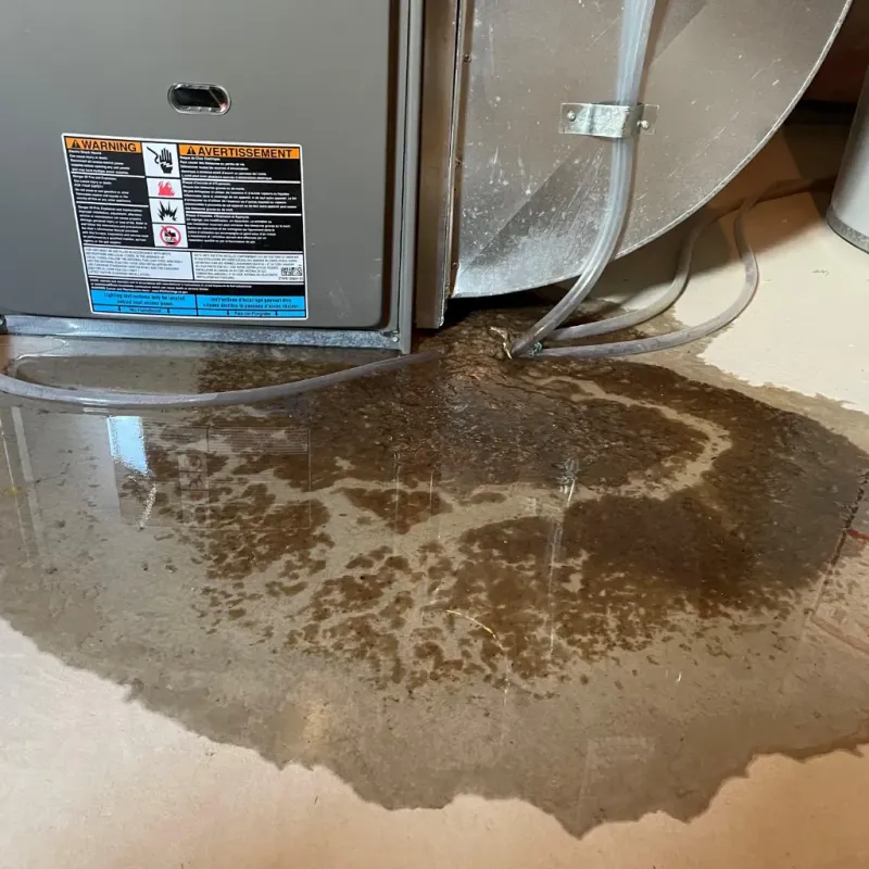 Appliance Leak Cleanup in Neoga, IL