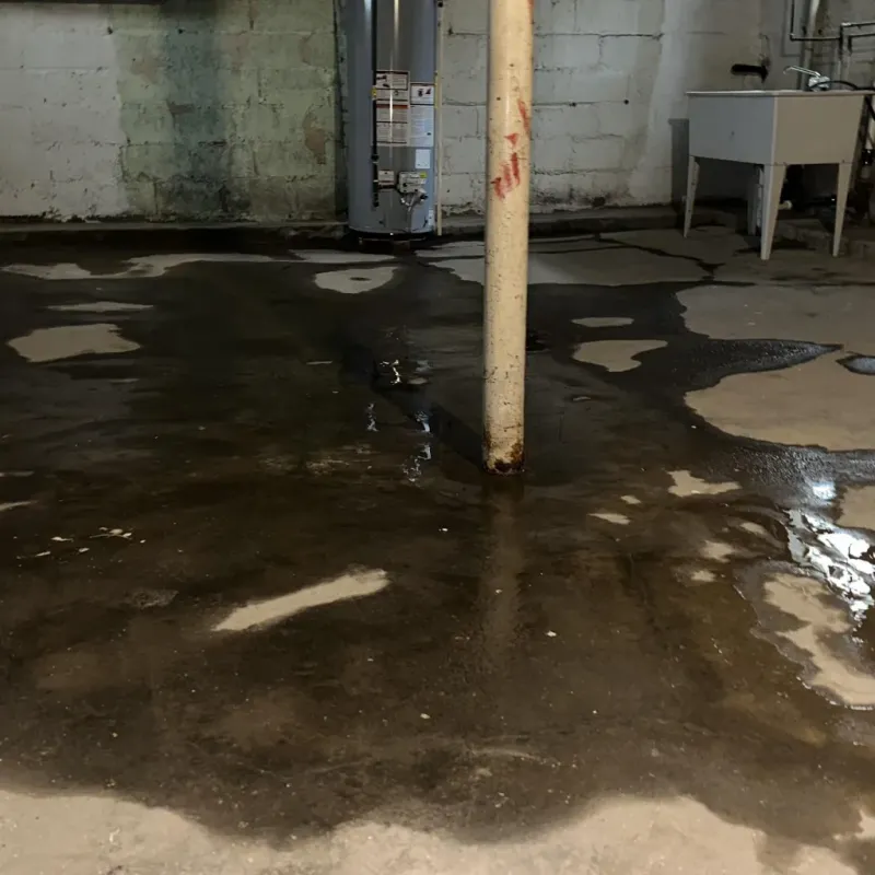 Emergency Water Extraction And Removal in Neoga, IL